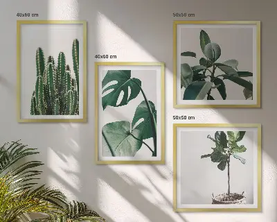 Estetika tropskih biljaka set od 4 slike u okviru