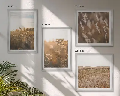 Set od 4 slike u okviru ljetne livade s cvijećem i zalaskom sunca