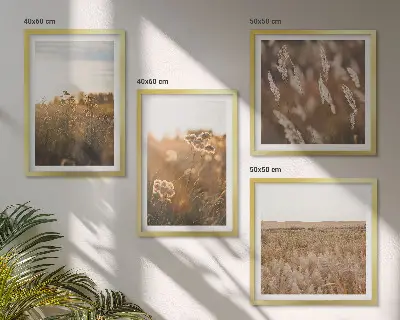 Set od 4 slike u okviru ljetne livade s cvijećem i zalaskom sunca