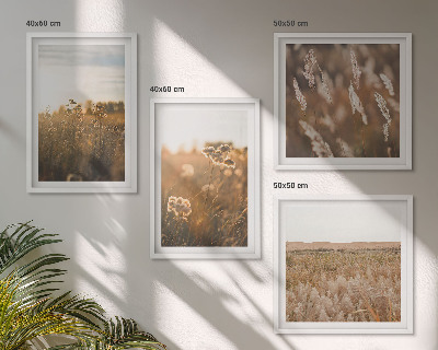 Set 4 slike u okviru Ljetne livade cvijeće zalazak sunca