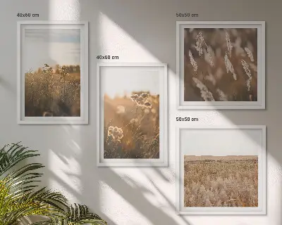 Set od 4 slike u okviru ljetne livade s cvijećem i zalaskom sunca
