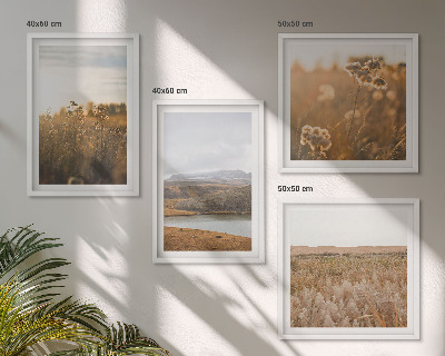 Set 4 slike u okviru Krajolici livade planine jezero