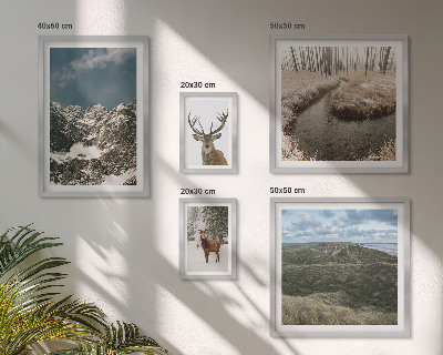 Poliptih u okviru Divlja priroda veličanstvenih planina