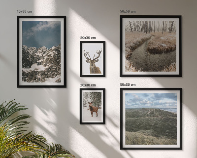Poliptih u okviru Divlja priroda veličanstvenih planina