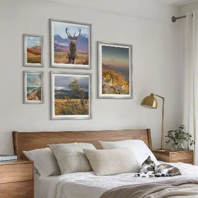 Set od 5 slika u okviru planinski krajolici s divljim životinjama