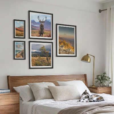 Set 5 slika u okviru Planinski krajolici divljih životinja