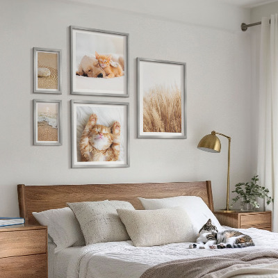Set 5 slika u okviru Slatki životinjski krajolici