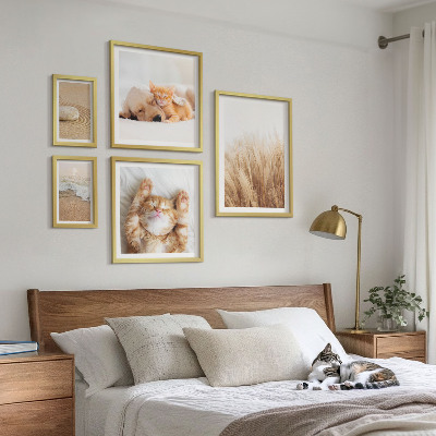 Set 5 slika u okviru Slatki životinjski krajolici