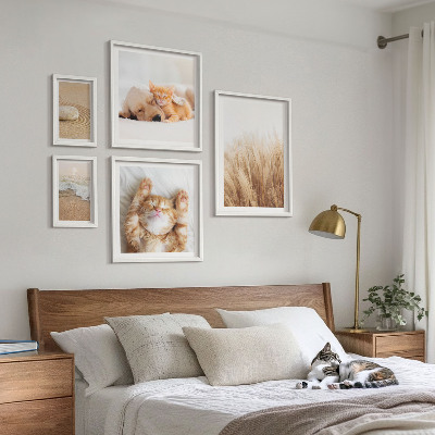 Set 5 slika u okviru Slatki životinjski krajolici