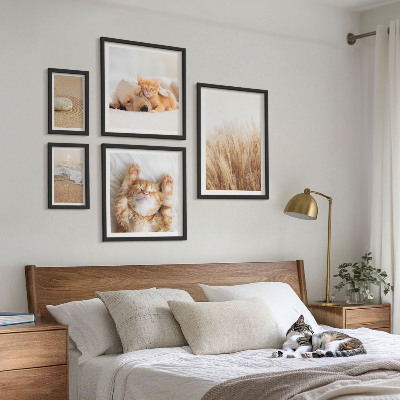 Set 5 slika u okviru Slatki životinjski krajolici