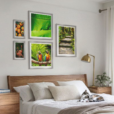 Set 5 slika u okviru Motivi tropskog voća