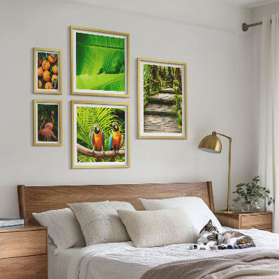 Set 5 slika u okviru Motivi tropskog voća