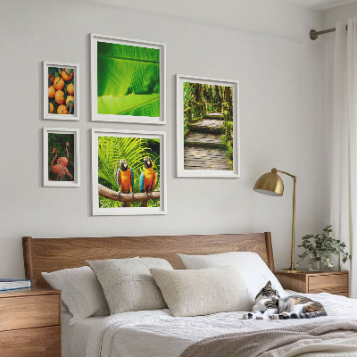 Set 5 slika u okviru Motivi tropskog voća