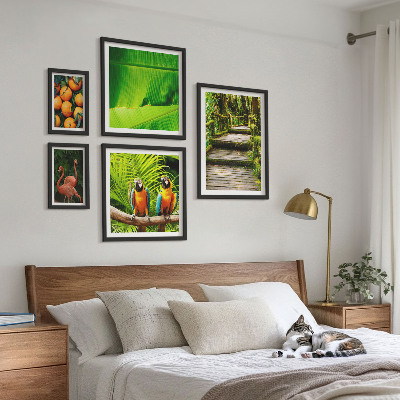 Set 5 slika u okviru Motivi tropskog voća