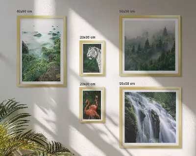 Set slika iznad kauča s motivima prirode, divljih životinja i krajolika