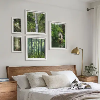 Zelene šume i slapovi prirode set od 5 slika u okviru