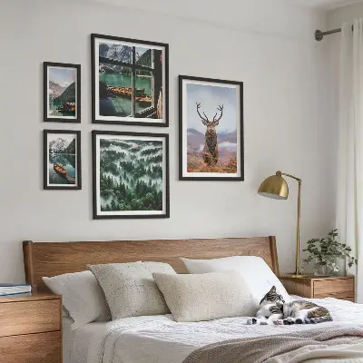 Set od 5 slika u okviru planine s motivima divljih životinja u prirodi