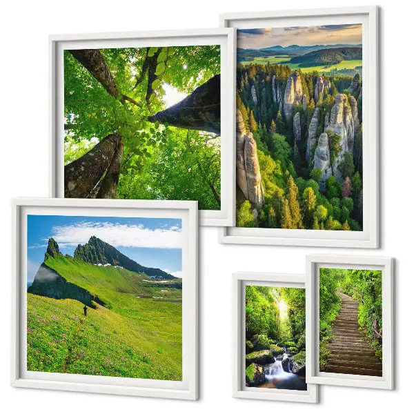 Poliptih u okviru zeleni krajolici s motivom prirodnih staza
