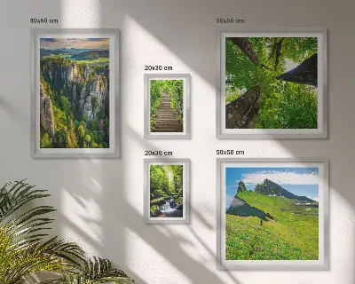 Poliptih u okviru zeleni krajolici s motivom prirodnih staza