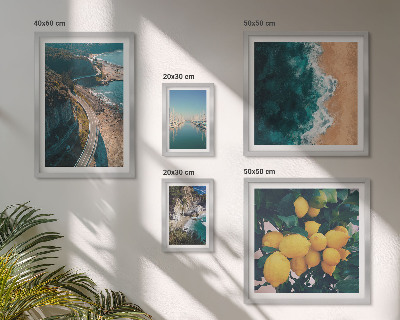 Set 5 slika u okviru Citrusi na plaži