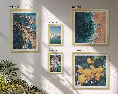 Set 5 slika u okviru Citrusi na plaži