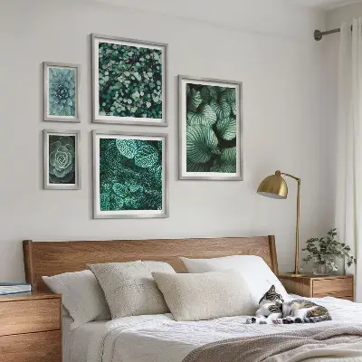 Set slika iznad kauča s motivom sukulentnog bilja i prirode