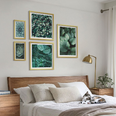 Set slika iznad kauča Lišće biljke sukulente priroda