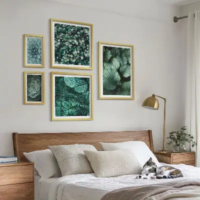 Set slika iznad kauča s motivom sukulentnog bilja i prirode