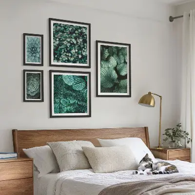 Set slika iznad kauča s motivom sukulentnog bilja i prirode