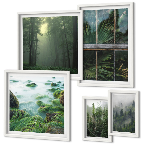 Set 5 slika u okviru Zeleni krajolici, šume, vegetacija