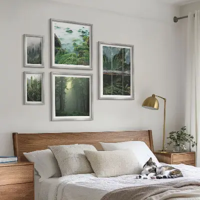 Set od 5 slika u okviru zeleni krajolici, šume i vegetacija