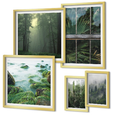 Set 5 slika u okviru Zeleni krajolici, šume, vegetacija