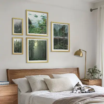 Set od 5 slika u okviru zeleni krajolici, šume i vegetacija