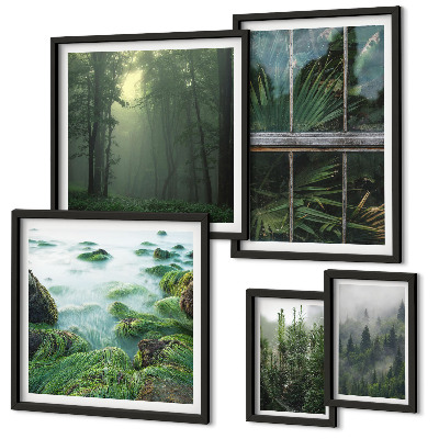 Set 5 slika u okviru Zeleni krajolici, šume, vegetacija