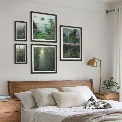 Set od 5 slika u okviru zeleni krajolici, šume i vegetacija