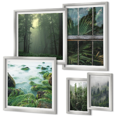 Set 5 slika u okviru Zeleni krajolici, šume, vegetacija