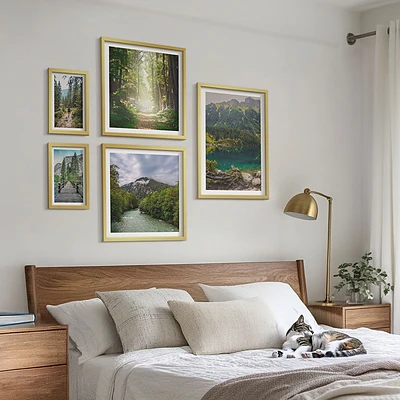 Planinski krajolici i šumske staze poliptih u okviru