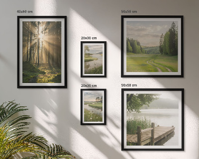 Set 5 slika u okviru Šumski krajolici sunce voda