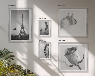 Set 5 slika u okviru Elegantne crno-bijele slike