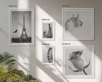 Elegantne crno-bijele slike set od 5 slika u okviru