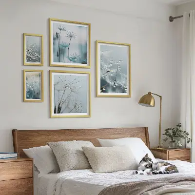 Set od 5 slika u okviru biljni motivi s kapljicama vode