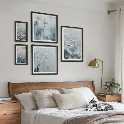 Set od 5 slika u okviru biljni motivi s kapljicama vode