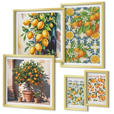 Set 5 slika u okviru motiv cvijeća agruma u vintage stilu