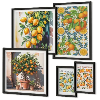 Set 5 slika u okviru motiv cvijeća agruma u vintage stilu