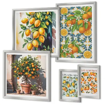 Set 5 slika u okviru motiv cvijeća agruma u vintage stilu