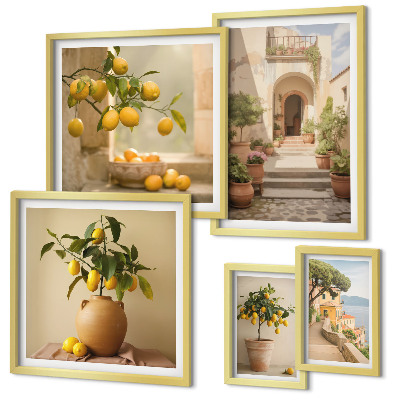 Set 5 slika u okviru Elegantni ukrasi od citrusa
