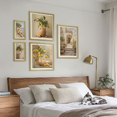 Set 5 slika u okviru Elegantni ukrasi od citrusa
