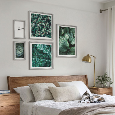 Set slika iznad kauča Zeleno lišće modernih biljaka