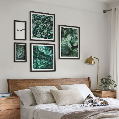 Set slika iznad kauča Zeleno lišće modernih biljaka
