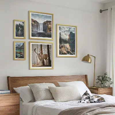 Set od 5 slika u okviru krajolici prirode sa slapovima i faunom